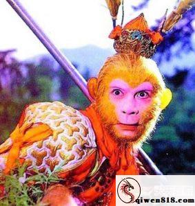 三角洲S10新干员曝光-技术突破与行业震动